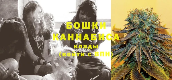 дживик Заводоуковск