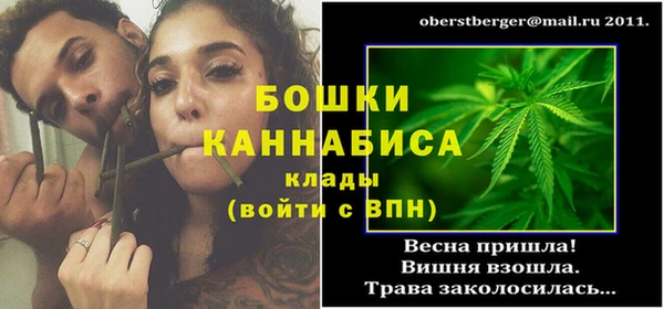 МДПВ Осташков