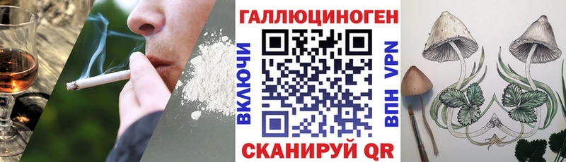 Псилоцибиновые грибы прущие грибы где купить Знаменск