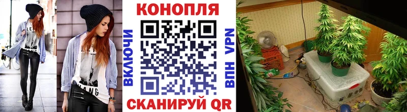 Бошки Шишки Ganja  купить наркотики сайты  Знаменск 